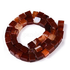 Natural Red Agate(Dyed & Heated) Beads Strands&nbsp;G-T139-8x8-35A