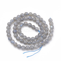 Natural Labradorite Beads Strands&nbsp;X-G-T064-70B