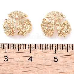 Brass Bead Caps&nbsp;KK-U028-04G