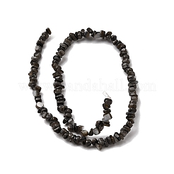 天然淡水シェルビーズ  染め  ナゲット  ブラック  4.5~9x4.5~7x1.5~5mm  穴：0.8mm  約163~165個/連  14.88~15.08''（37.8~38.3センチメートル）&nbsp;SHEL-B003-01J