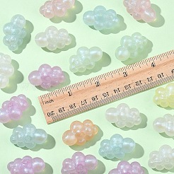 20Pcs Transparent Acrylic Beads&nbsp;OACR-YW0002-14