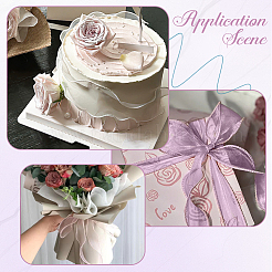 1Bag Organza Ribbon&nbsp;ORIB-CY0001-04B