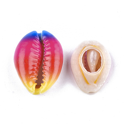 プリントカウリーシェルビーズ  穴なし/ドリルなし  カメリア  20~25x13~17x7~8mm&nbsp;SSHEL-T007-14D