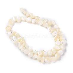 Natural Shell Beads&nbsp;BSHE-B003-19