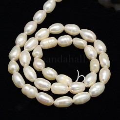 Natural Cultured Freshwater Pearl Beads Strands&nbsp;PEAR-L001-16
