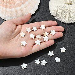 天然淡水貝スターチャーム20個  貝殻色  12x12x2mm  穴：1.2mm&nbsp;SHEL-YW0001-14