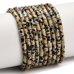 Natural Mixed Gemstone Beads Strands&nbsp;G-P600-B-01