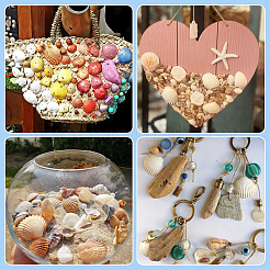 Shell Pendants&nbsp;SSHEL-TA0001-03