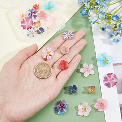 24種類のプラスチックビーズ12個  花  ミックスカラー  12~22x12~23x3~8mm  穴：0.7~1.4mm  2個/スタイル&nbsp;KY-CA0001-32