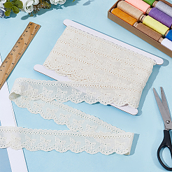 8Yards Flat Hollow Polyester Lace Trim&nbsp;OCOR-GF0006-07A