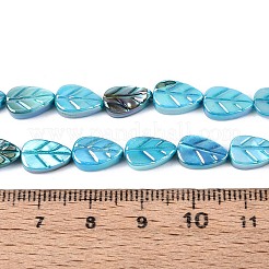 天然淡水貝の彫刻ビーズ連売り  葉  染め  ABカラー  空色  10x6~6.5x2~4mm  穴：0.6~0.7mm  約36個/連  14.17インチ（36cm）&nbsp;SHEL-N038-25B