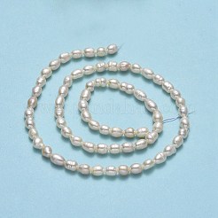 天然養殖淡水パールビーズ連売り  ライス  リネン  5.5x3.8mm  穴：0.5mm  約69個/連  14.17''（36センチメートル）&nbsp;PEAR-J006-10F-01