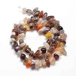 Natural Botswana Agate Chip Beads Strands&nbsp;X-G-E271-104