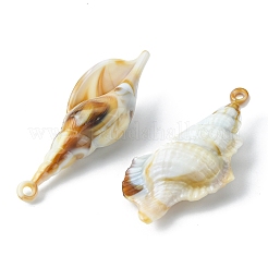 28個7スタイルアクリルパーツ  天然石風  ほら貝と渦巻貝  ミックスカラー  19.5~44.5x12~25x10~16mm  穴：1.5~1.8mm  4個/スタイル&nbsp;OACR-FS0001-17