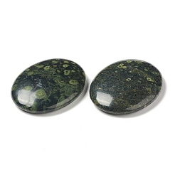 Natural Kambaba Jasper Worry Stone for Anxiety Therapy&nbsp;G-B036-01M