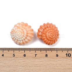 合成サンゴ刻まれたビーズ  染め  らせん状のシェル形状  ライトサーモン  21x14.5mm  穴：1.2mm&nbsp;CORA-S025-03B