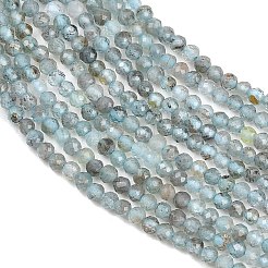 Natural Apatite Beads Strands&nbsp;G-RM250104-C5