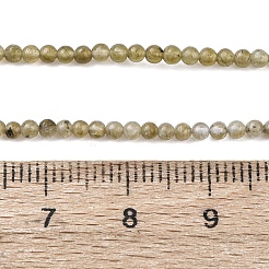 Natural Labradorite Beads Strands&nbsp;G-Z116-A04-2mm