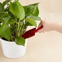 鉄シャベル  ガーデニングツール  土壌植栽掘削移植用  ミックスカラー  198x66.5x26.5mm  穴：5.5mm  5色  1pc /カラー  5個/セット&nbsp;TOOL-PH0017-27