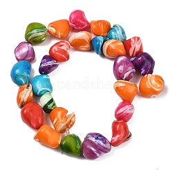 Natural Trochid Shell/Trochus Shell Beads Strands&nbsp;SHEL-B005-06