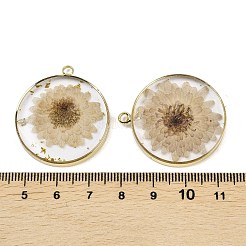 Transparent Clear Epoxy Resin Pendants&nbsp;RESI-XCP0002-33