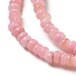 Dyed Natural Freshwater Shell Beads Strands&nbsp;BSHE-G039-07D