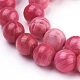 Shell Beads Strands&nbsp;BSHE-L041-07B-01-2