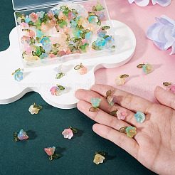72Pcs 12 Styles Glass Pendants&nbsp;PALLOY-TAC0235
