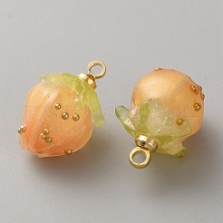 Plastic Pendants&nbsp;FIND-WH0433-14F