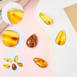 5Pcs Natural Amber Pendants&nbsp;G-SZ0002-38
