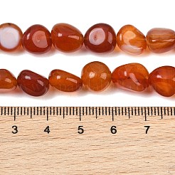 天然石カーネリアンビーズ連売り  ナゲット  タンブルストーン  9~11x8~10x6~10mm  穴：0.8mm  約18~19個/連  6.89~7.28''（17.5~18.5センチメートル）&nbsp;GG-CBA787B-A40