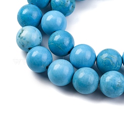 Dyed Natural Magnesite Beads Strands&nbsp;G-P558-A01-01A