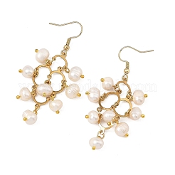 304 Stainless Steel & Natural Cultured Freshwater Pearl Beads Cluster Chandelier Earrings for Women&nbsp;EJEW-JE07467