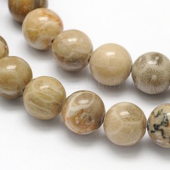 Natural Fossil Coral Round Bead Strands&nbsp;X-G-N0166-05-8mm