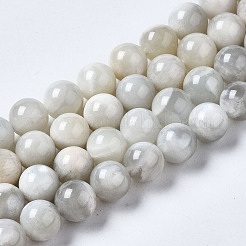 Natural White Moonstone Beads Strands&nbsp;G-N328-51B-01