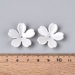 Absプラスチック模造真珠ビードキャップ  5  - 花びらの花  ホワイト  25x26x5.5mm  穴：1.8mm&nbsp;KY-Q004-04A