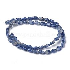 天然ブルースポットジャスパービーズ連売り  オーバル  8x6x3.5~4mm  穴：1mm  約45~52個/連  15.16~15.74インチ（38.5~40cm）&nbsp;G-Z006-A01