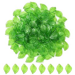 Transparent Acrylic Pendants&nbsp;TACR-YW0001-63