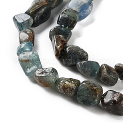 Natural Green Kyanite Beads Strands&nbsp;G-P497-01C-56