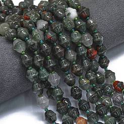 Natural Africa Bloodstone Beads Strands&nbsp;G-K389-D22-01