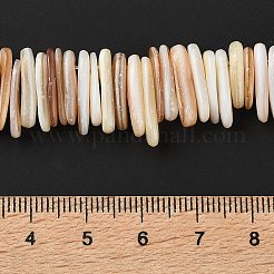 Natural Shell Beads Strands&nbsp;SHEL-D002-01A