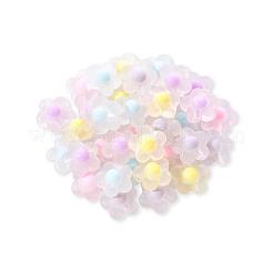 50Pcs 5 Colors Transparent Acrylic Beads&nbsp;TACR-CC0001-03