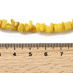 天然淡水シェルビーズ  染め  ナゲット  ミックスカラー  4.5~9x4.5~7x1.5~5mm  穴：0.8mm  約163~165個/連  14.88~15.08''（37.8~38.3センチメートル）&nbsp;SHEL-B003-01