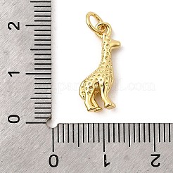 Brass Pendants&nbsp;KK-I364-02G-07