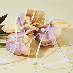10M Polyester Ribbon&nbsp;OCOR-WH0086-43C