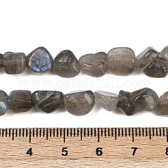 天然石ラブラドライトビーズ連売り  ナゲット  タンブルストーン  8~13x8~10x3~8mm  穴：1mm  約49~50個/連  15.55~15.75''（39.5~40センチメートル）&nbsp;LS-G-Q060-E20-01