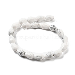 Natural Howlite Beads Strands&nbsp;G-P520-B07-01