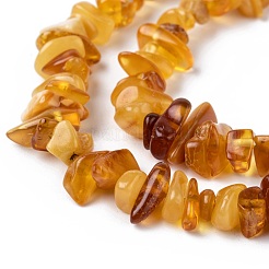 Natural Amber Chip Beads Strands&nbsp;X-G-E271-81