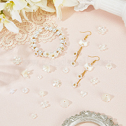 600Pcs 10 Styles ABS Plastic Imitation Pearl & Acrylic Bead Caps&nbsp;OACR-SC0002-36