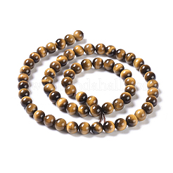 Natural Tiger Eye Round Bead Strands&nbsp;G-L411-07-6mm
